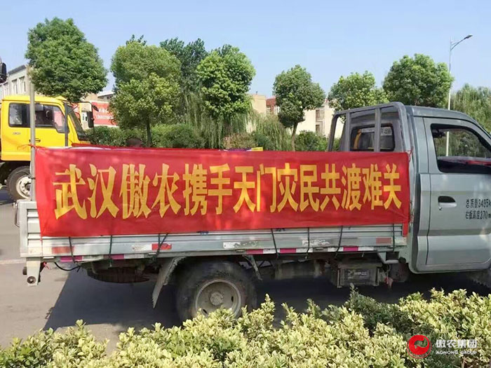 熟妇丰满多毛的大隂户