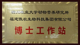 熟妇丰满多毛的大隂户
