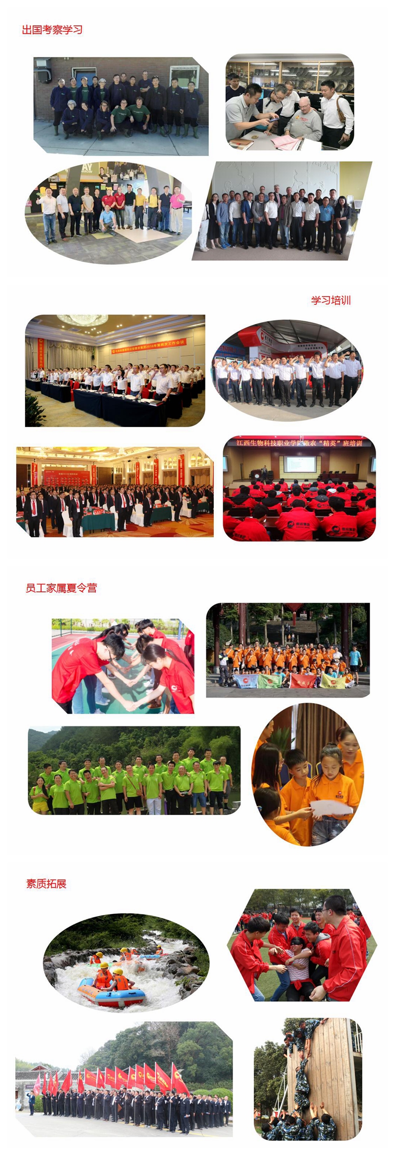 熟妇丰满多毛的大隂户