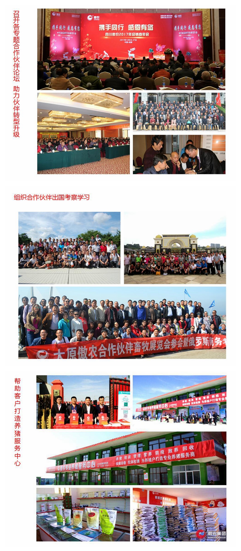 熟妇丰满多毛的大隂户