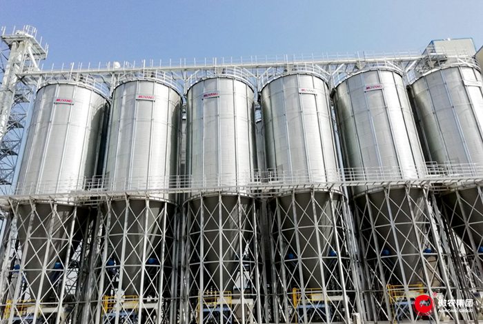 熟妇丰满多毛的大隂户