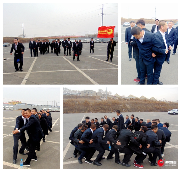 熟妇丰满多毛的大隂户