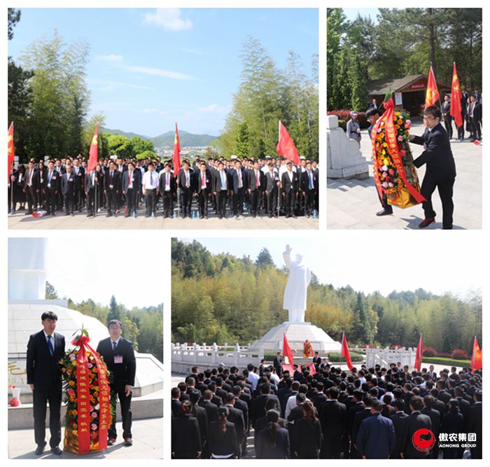 熟妇丰满多毛的大隂户