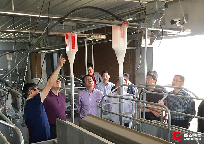 熟妇丰满多毛的大隂户