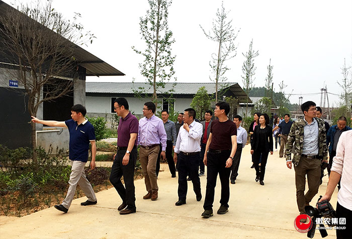 熟妇丰满多毛的大隂户