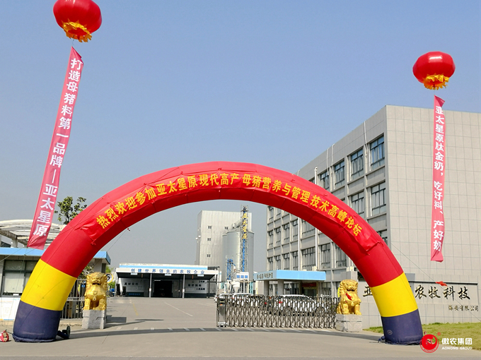 熟妇丰满多毛的大隂户