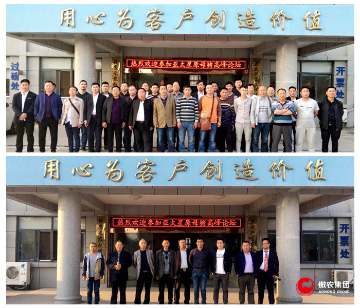 熟妇丰满多毛的大隂户