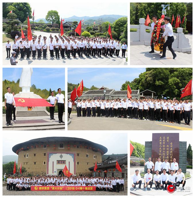 熟妇丰满多毛的大隂户