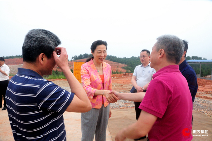 熟妇丰满多毛的大隂户