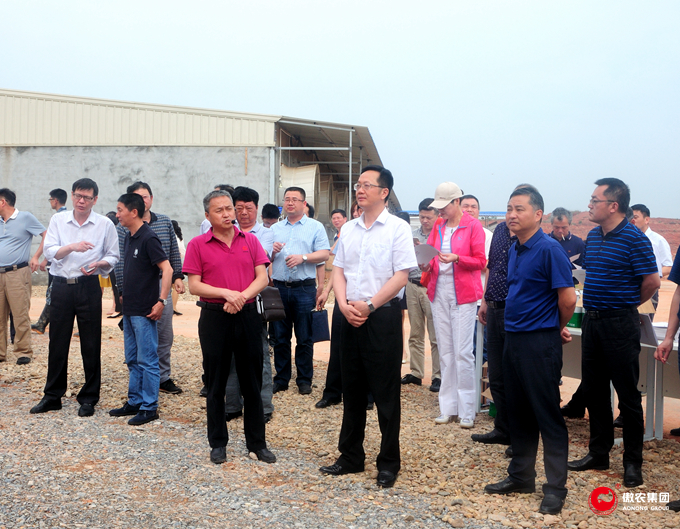 熟妇丰满多毛的大隂户