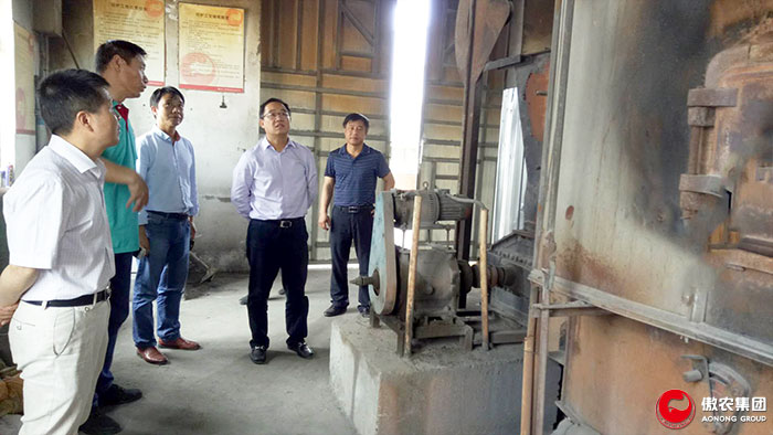 熟妇丰满多毛的大隂户