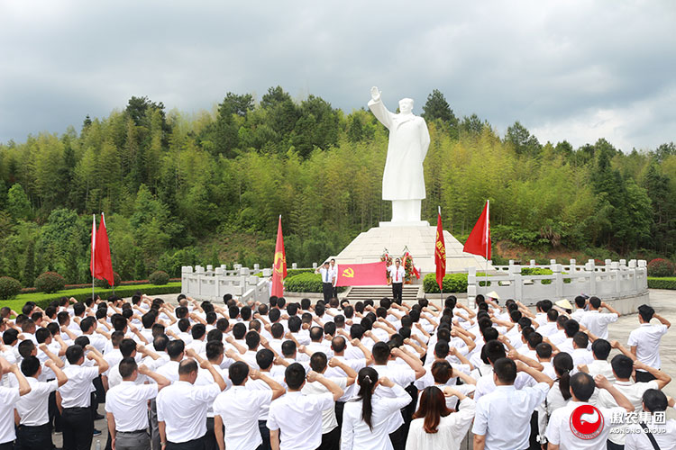 熟妇丰满多毛的大隂户