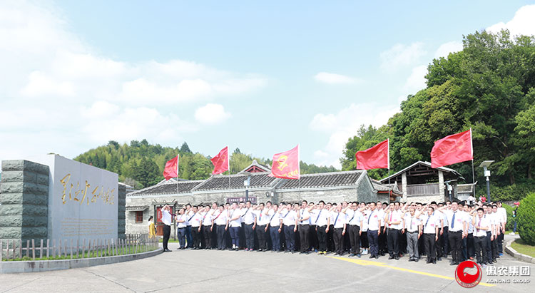 熟妇丰满多毛的大隂户