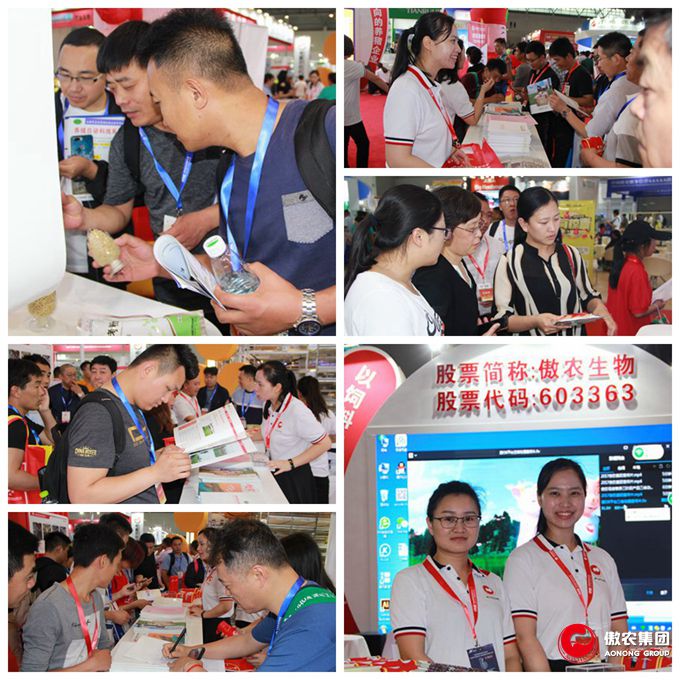 熟妇丰满多毛的大隂户