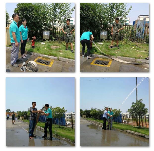 熟妇丰满多毛的大隂户