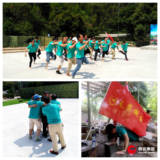 熟妇丰满多毛的大隂户