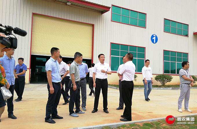 熟妇丰满多毛的大隂户