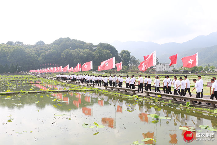熟妇丰满多毛的大隂户