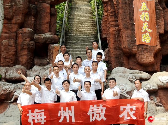 熟妇丰满多毛的大隂户