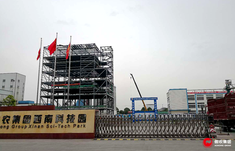 熟妇丰满多毛的大隂户