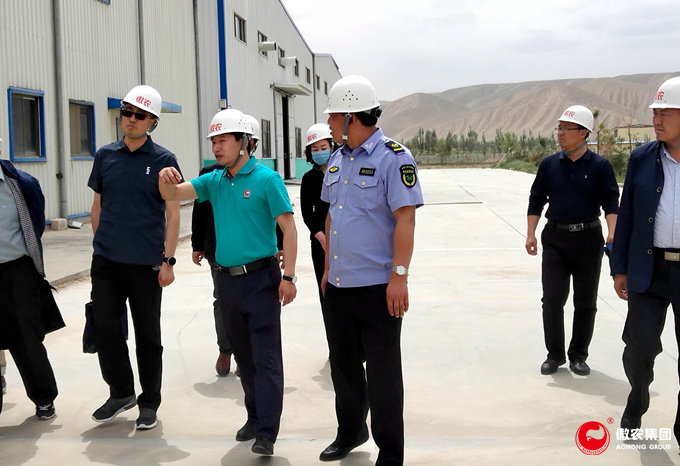 熟妇丰满多毛的大隂户