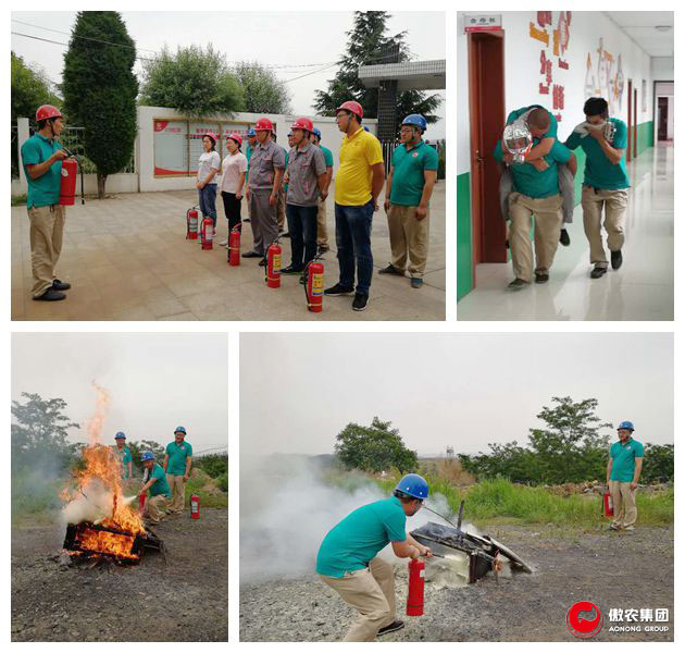 熟妇丰满多毛的大隂户