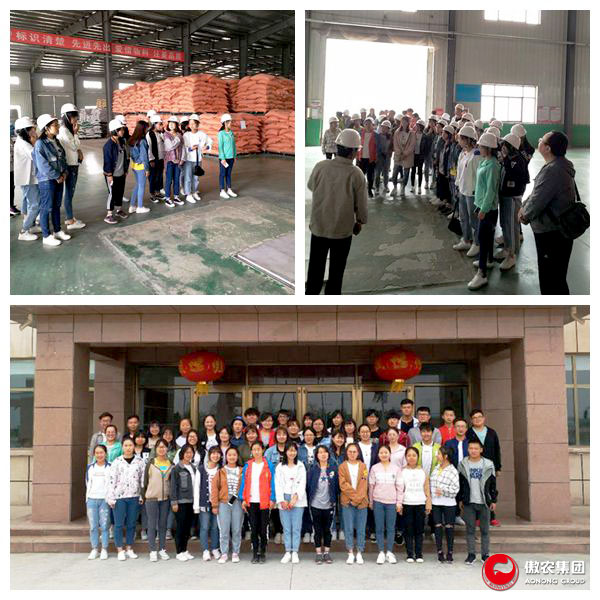 熟妇丰满多毛的大隂户