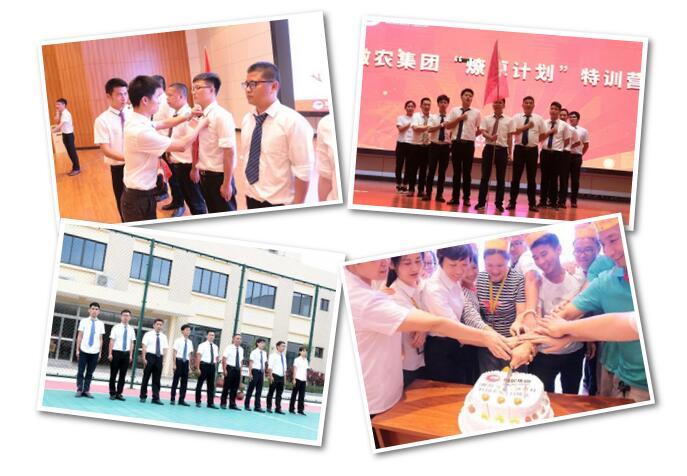 熟妇丰满多毛的大隂户