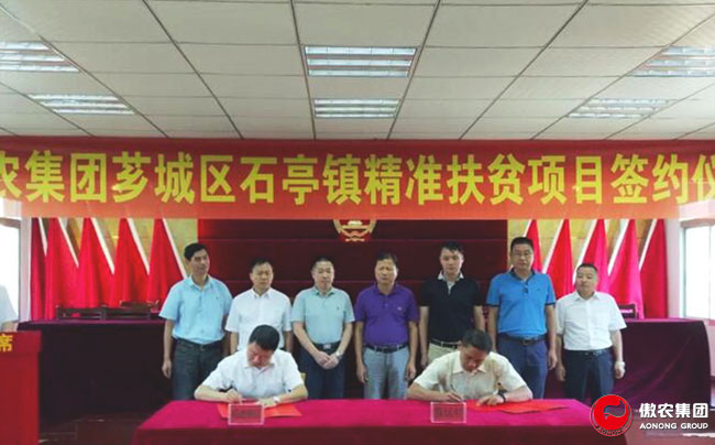 熟妇丰满多毛的大隂户