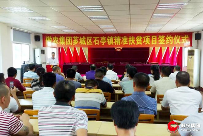 熟妇丰满多毛的大隂户