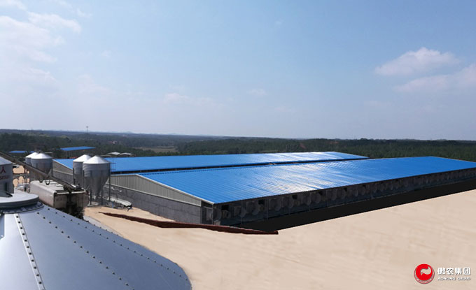 熟妇丰满多毛的大隂户