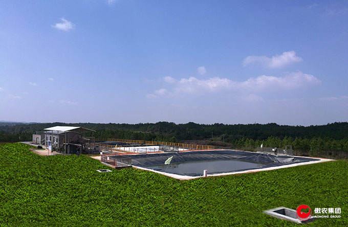 熟妇丰满多毛的大隂户