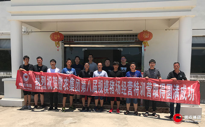 熟妇丰满多毛的大隂户