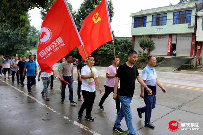 熟妇丰满多毛的大隂户