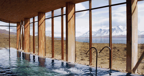 熟妇丰满多毛的大隂户