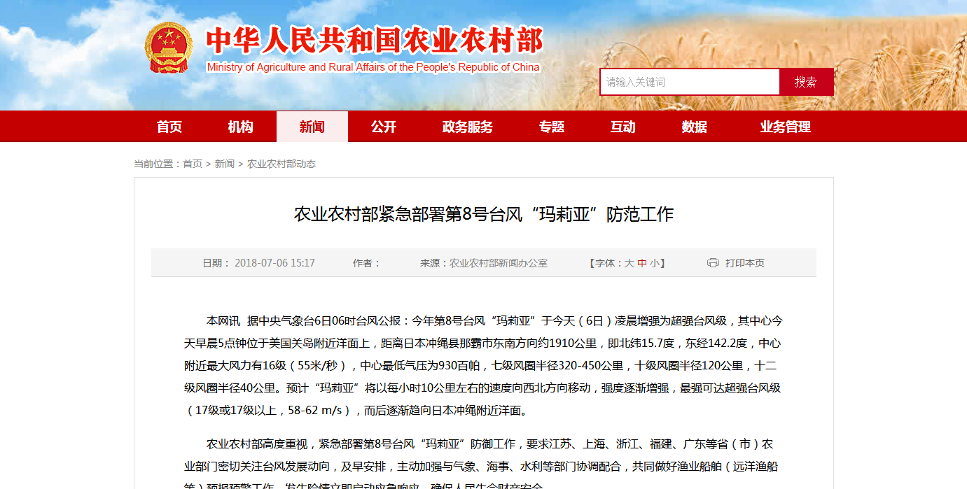 熟妇丰满多毛的大隂户