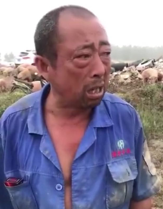 熟妇丰满多毛的大隂户