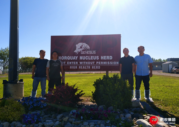 熟妇丰满多毛的大隂户