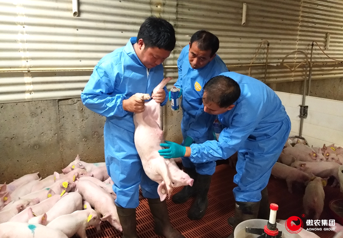 熟妇丰满多毛的大隂户