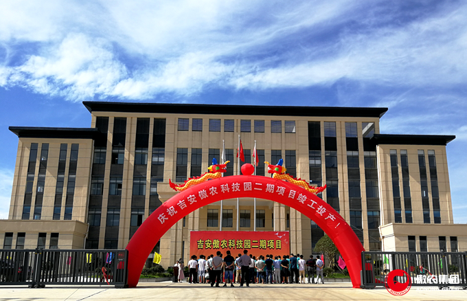 熟妇丰满多毛的大隂户