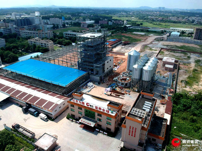 熟妇丰满多毛的大隂户