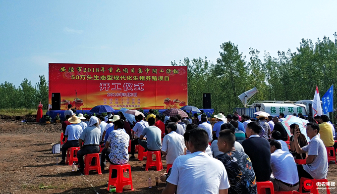 熟妇丰满多毛的大隂户