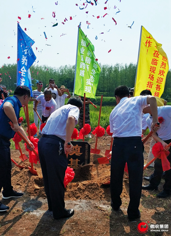 熟妇丰满多毛的大隂户