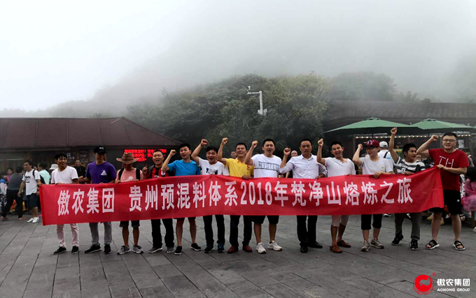 熟妇丰满多毛的大隂户