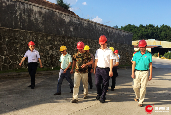 熟妇丰满多毛的大隂户