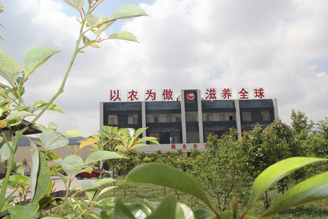 熟妇丰满多毛的大隂户