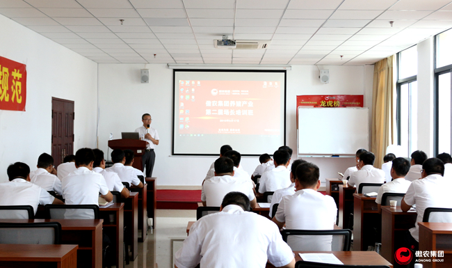 熟妇丰满多毛的大隂户