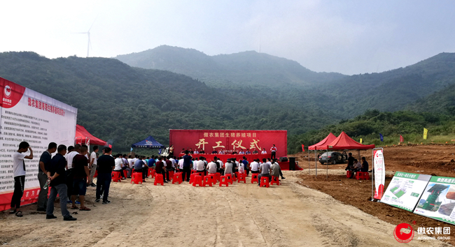 熟妇丰满多毛的大隂户