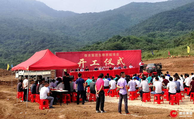 熟妇丰满多毛的大隂户