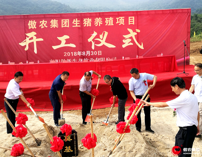 熟妇丰满多毛的大隂户